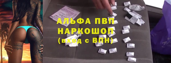 сатива Богданович