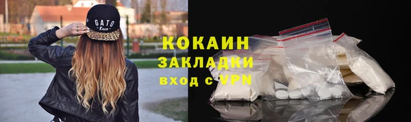 сатива Богданович