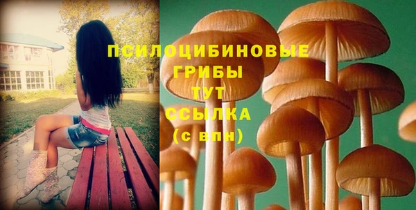 хмурый Богородицк