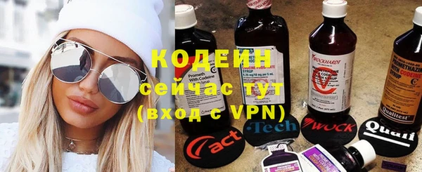 mdpv Богородск