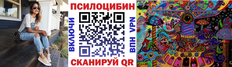 Псилоцибиновые грибы Cubensis  цена наркотик  Улан-Удэ 